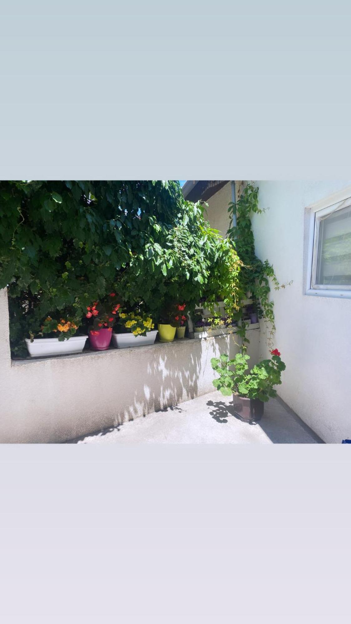 Galeb Apartment Ohrid Eksteriør billede